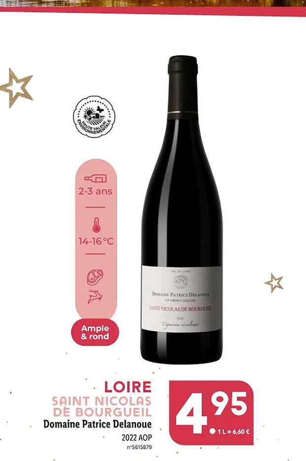 loire saint nicolas de bourgueil domaine patrice delanoue