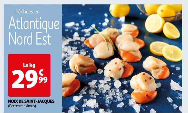 noix de saint-jacques