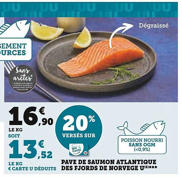 Pavé De Saumon Atlantique Des Fjords De Norvège U