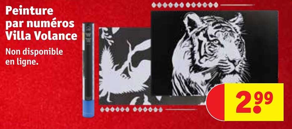 peinture par numeros villa volance