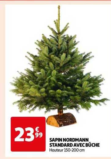 sapin nordmann standard avec bûche