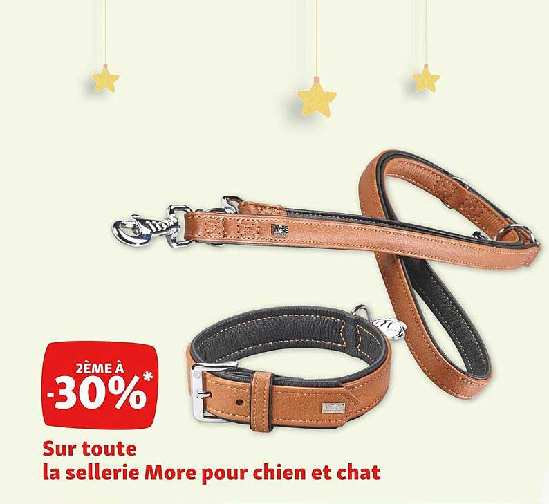 sellerie more pour chien et chat