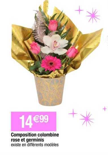 composition colombine rose et germinis