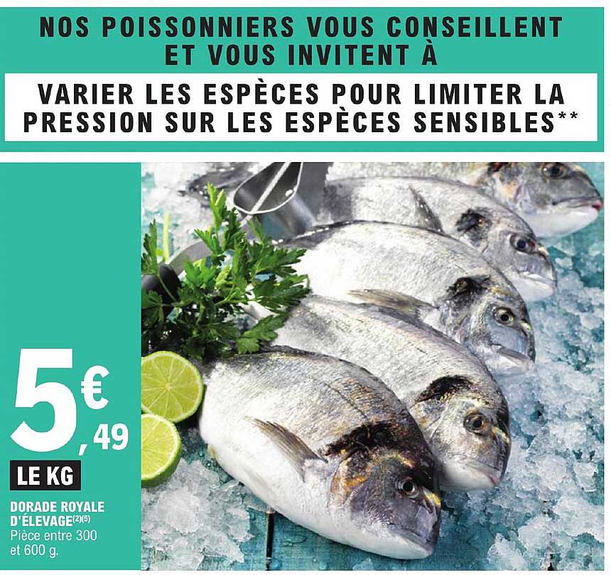 dorade royale d'élévage