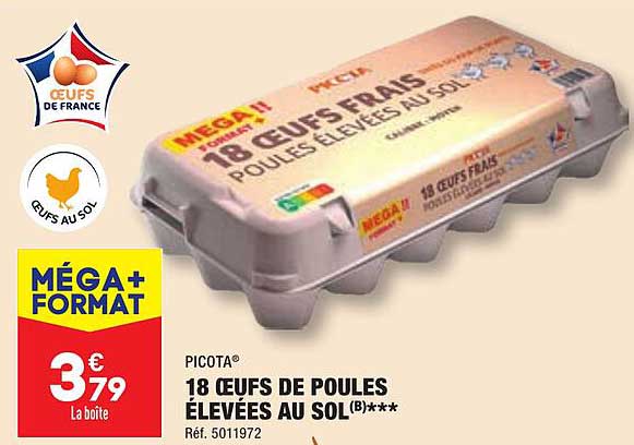 18 œufs de poules élevées au sol picota