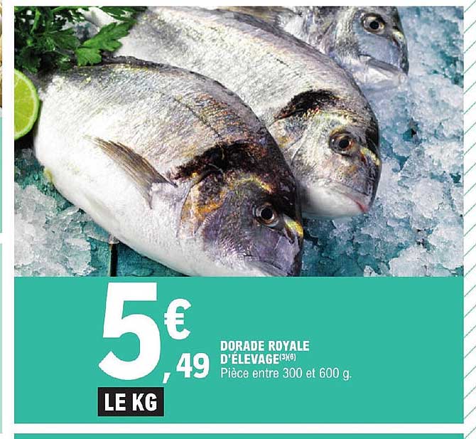 dorade royale d'élevage