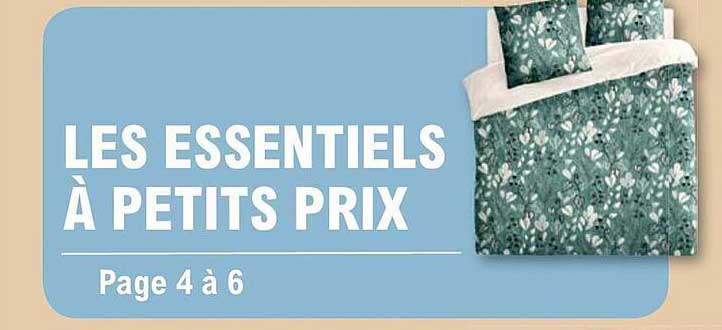 les essentiels à petits prix