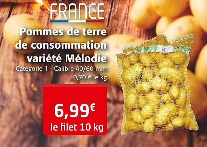 pommes de terre de consommation variété mélodie