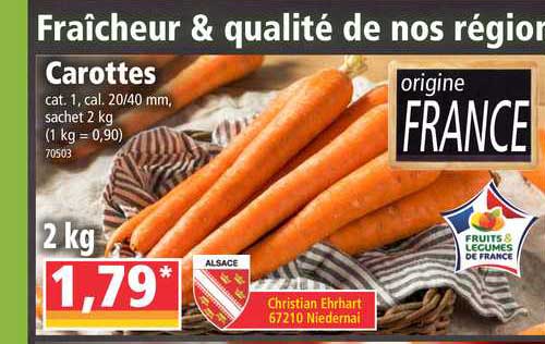 Carottes