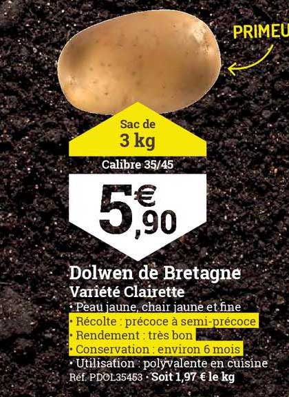 dolwen de bretagne variété clairette