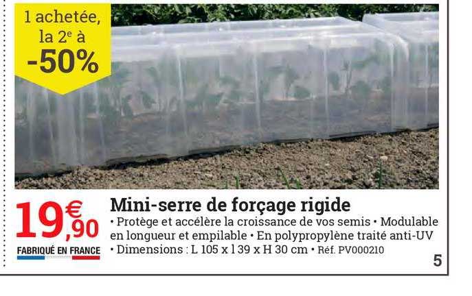 mini-serre de forçage rigide