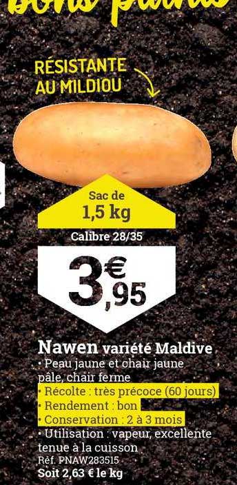 nawen variété maldive