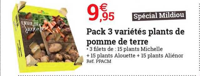 pack 3 variétés plants de pomme de terre