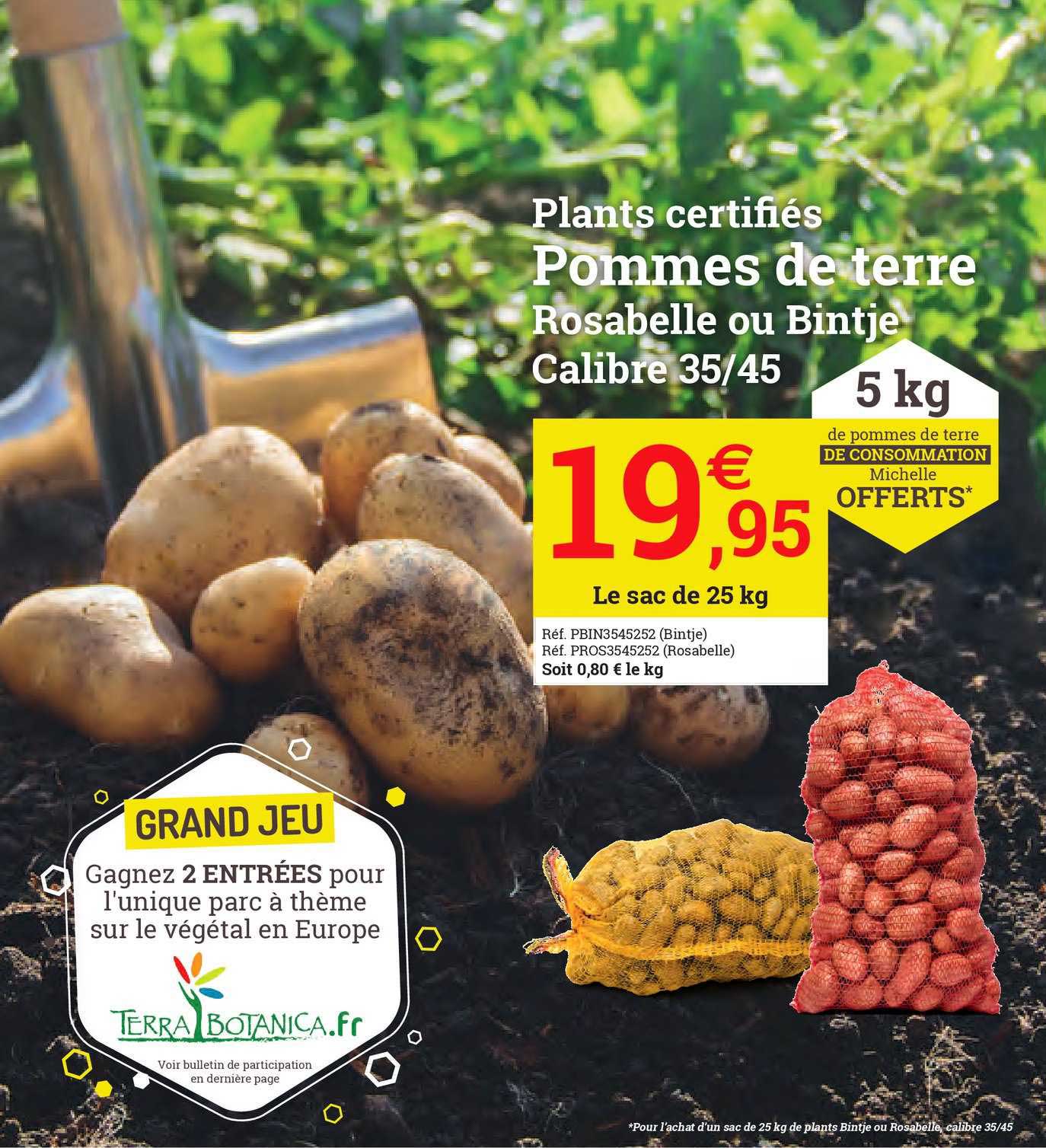 pommes de terre rosabelle ou bintje calibre 35-45