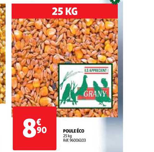 poule éco grany