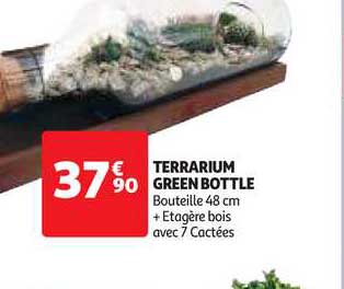 terrarium green bottle