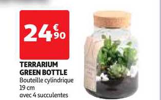 terrarium green bottle