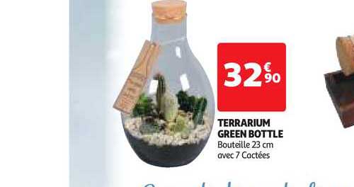 terrarium green bottle