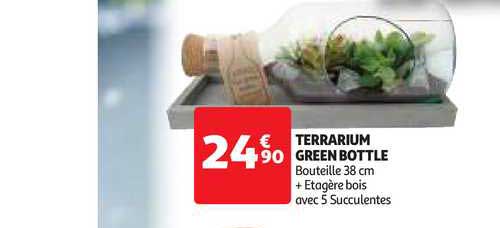 terrarium green bottle