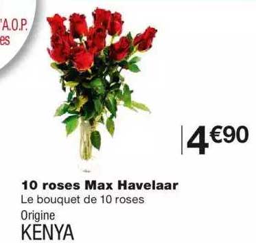 10 Roses Max Havelaar