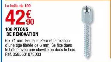 100 Pitons De Rénovation
