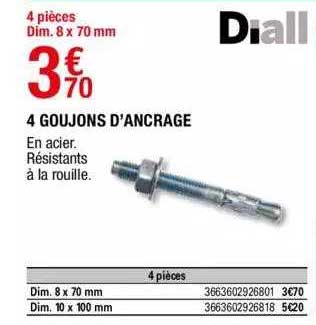 4 goujons d'ancrage diall