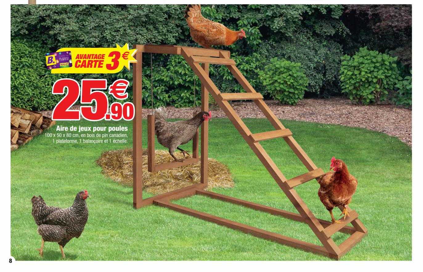 aire de jeux pour poules