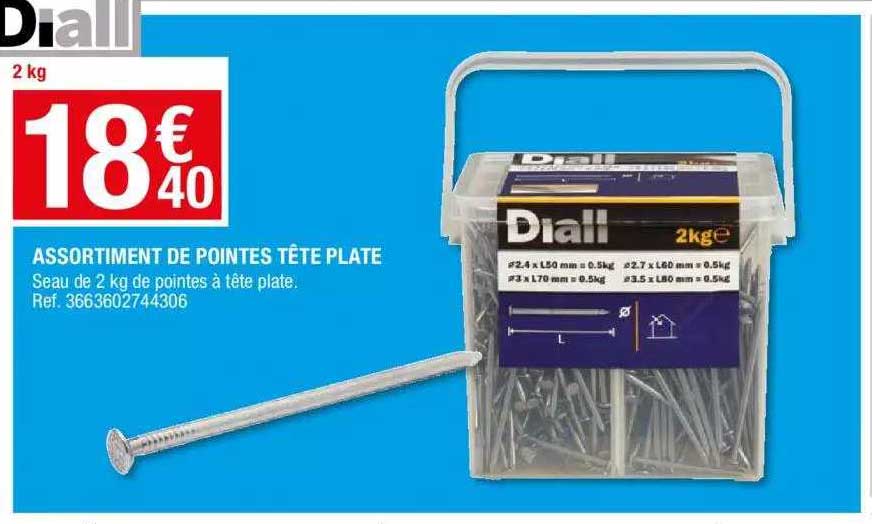 assortiment de pointes tête plate