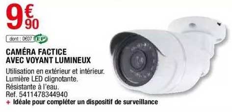 caméra factice avec voyant lumineux