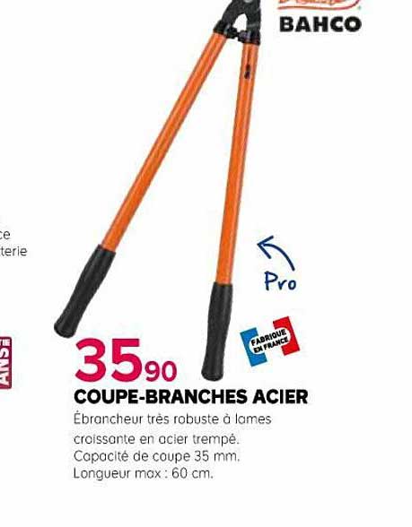 coupe-branches acier