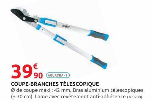 coupe-branches télescopique aquacraft