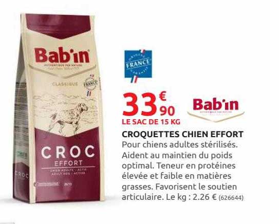 croquettes chien effort bab'in