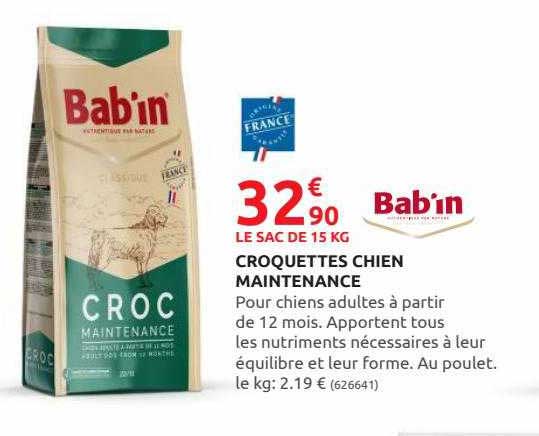 croquettes chien maintenance bab'in