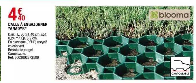 Dalle à Engazonner "anadyr" Blooma