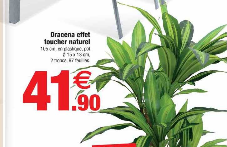 dracena effet toucher naturel