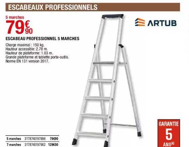 Escabeau Professionnel 5 Marches Artub