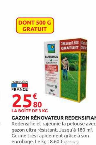 gazon rénovateur redensifiant