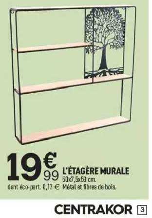 l'étagère murale