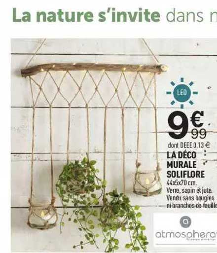 la déco murale soliflore