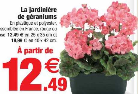 la jardinière de géraniums