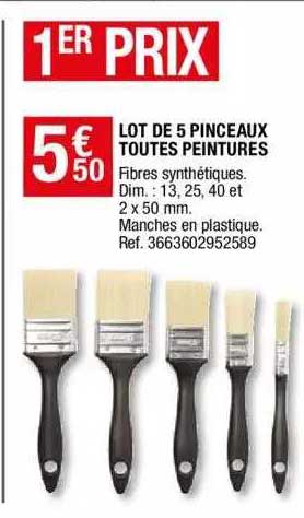 lot de 5 pinceaux toutes peintures