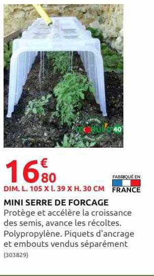 mini serre de forçage