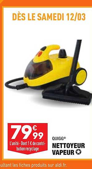 Nettoyeur Vapeur Quigg