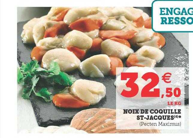 noix de coquille st-jacques