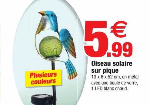 oiseau solaire sup pique