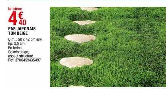 pas japonais ton beige