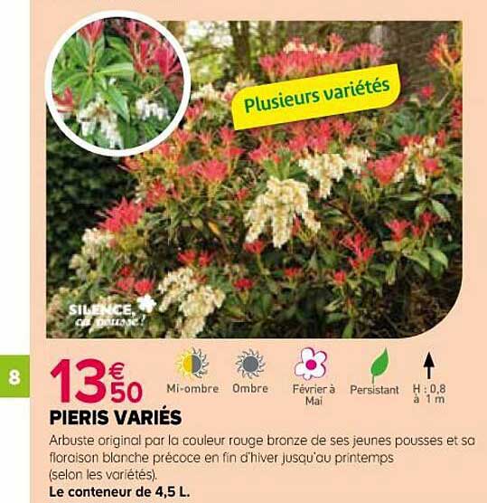 pieris variés