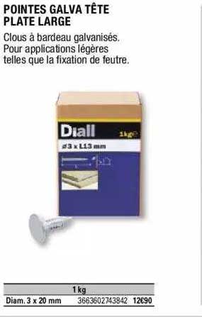 pointes galva tête plate large