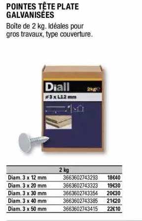 pointes tête plate galvanisées