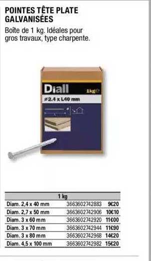 pointes tête plate galvanisées